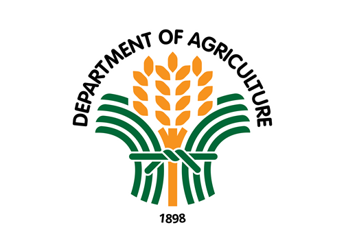 Agriculture Sector Eyes Strong Recovery Amid Rice, Livestock Gains Despite Q1 Dip