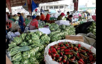 Registration of vegetable stakeholders to avoid &lsquo;fake buyers&rsquo;