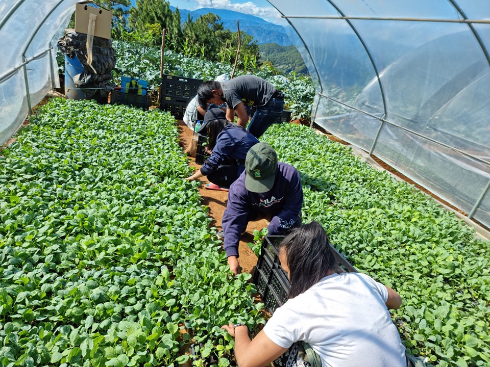 Young farmers move to next level of DA&rsquo;s challenge, start agribiz models