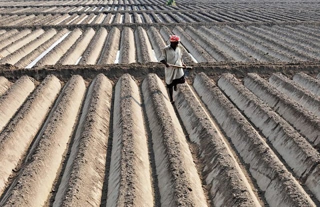 Experts share research on smart agriculture
