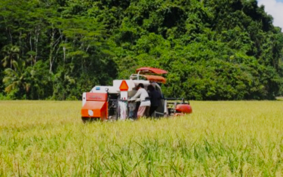 DA-13 identifies vulnerable Caraga farms ahead of El Ni&ntilde;o