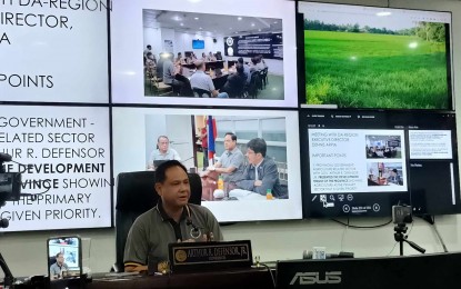 Iloilo eyes increased production via hybrid rice program