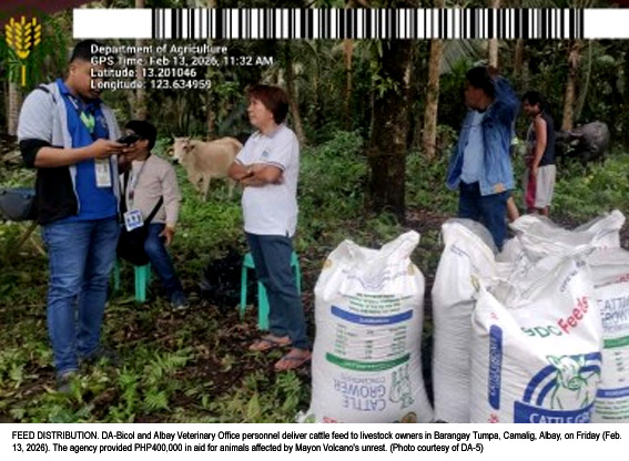 DA-Bicol Releases P400K in Support for Livestock Raisers Hit by Mayon Unrest
