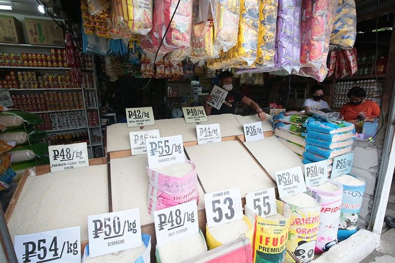 Philippines approves GMO 'golden rice' for commercial production