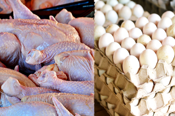 PH suspends poultry imports from Indiana over bird flu outbreak