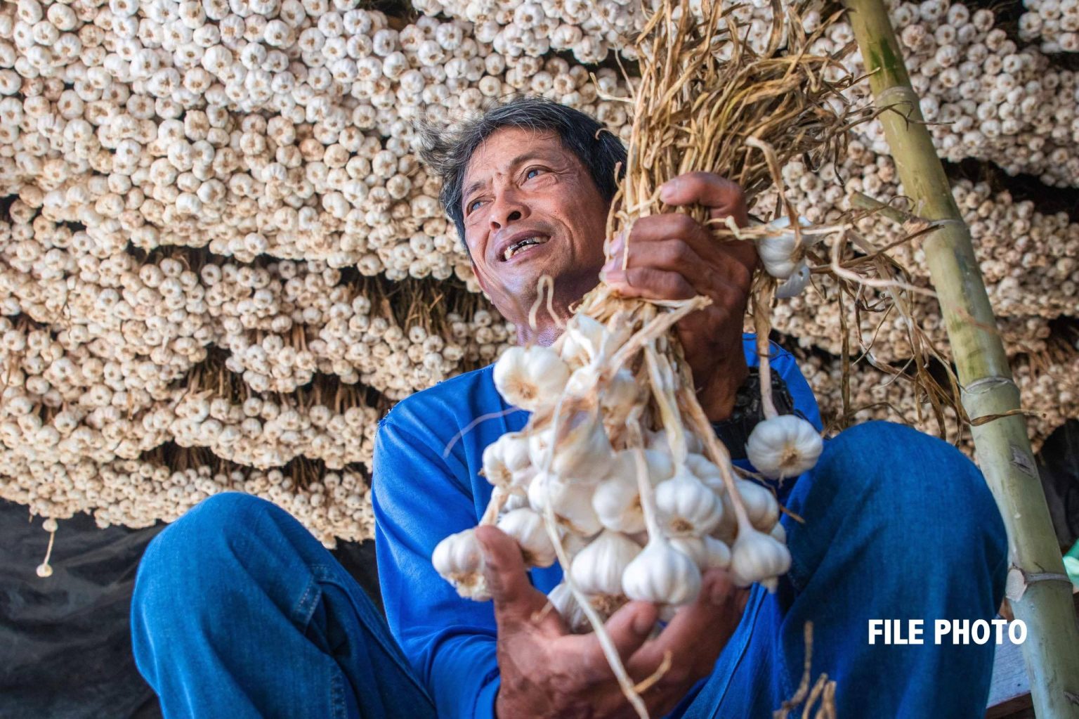 Itbayat garlic farmers receive big lift from DA in bringing to NCR their produce