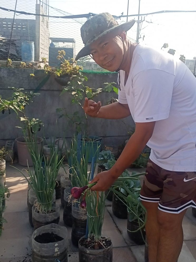 Growing needs: Police officer turned gardener advocates for more families to grow their own food