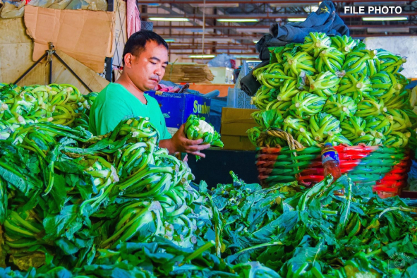 DA sends trucks to move Benguet vegetables amid supply glut