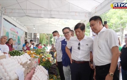 Agricultural reforms key to strong PH economy - Marcos