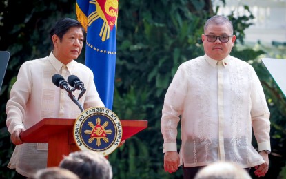 DA chief gives importers less than 5 weeks to buy add'l rice abroad