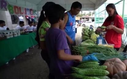 Cebu holds fusion of Kadiwa ng Pangulo, Serbisyo Caravan
