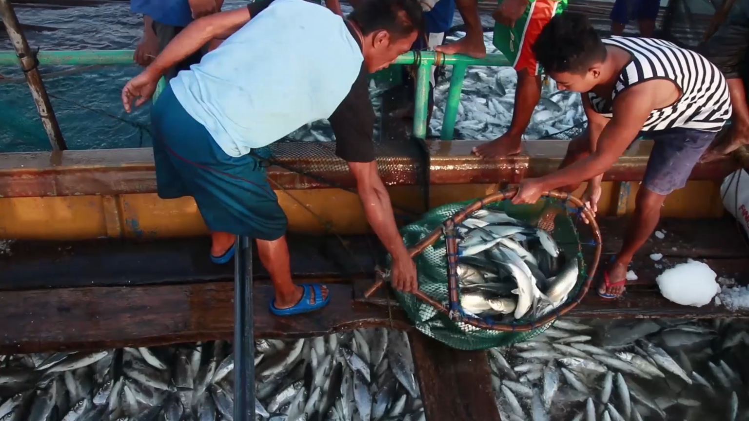 Fish and seafood inflation eases, DA-BFAR commits to working harder for the fisheries sector