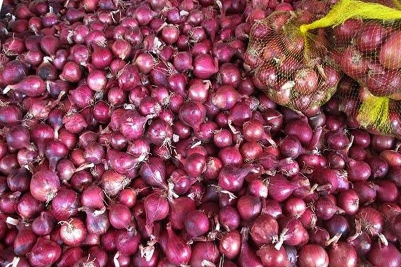 Ombudsman probe to look into possible conspiracy in DA, FTI onion purchase