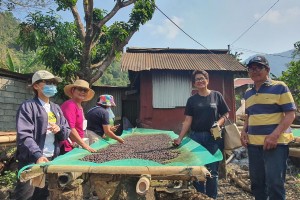 Ilocos Sur coffee growers get boost from shared service facility