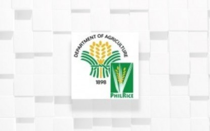 DA-PhilRice boosts agri efforts via youth education