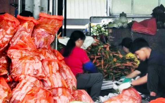 DA urges Cordillera high-value crop farmers to register for aid programs