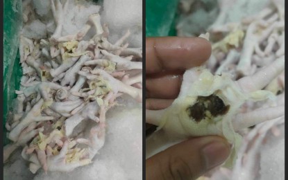 NorMin public warns of 'bumblefoot' contamination in poultry products