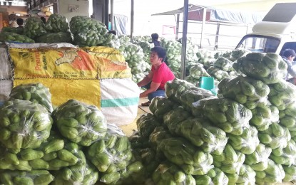 DA-CAR ordered to boost vegetable productions, address price swing