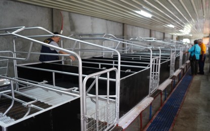 DA&rsquo;s swine multiplier facilities to aid Iloilo recover from ASF