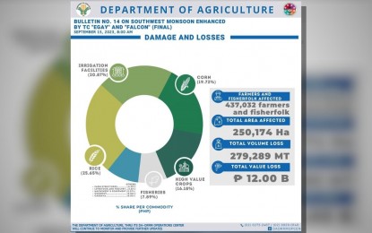 DA: Damage to agri due to 'habagat,' 2 typhoons reaches P12-B