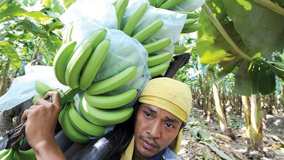 Trade deficit in agri goods widens to $2.71B in Q2