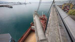 Russia has sent first free grain shipments to Africa