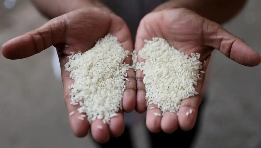 India expands rice exports curbs with 20% duty on parboiled grade