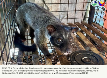12 Rescued Wildlife Turned Over to DENR as Cotabato Residents Support Conservation Efforts