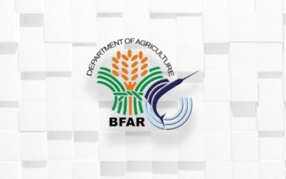 Over P22-M projects to boost livelihood of Bicol fisherfolk