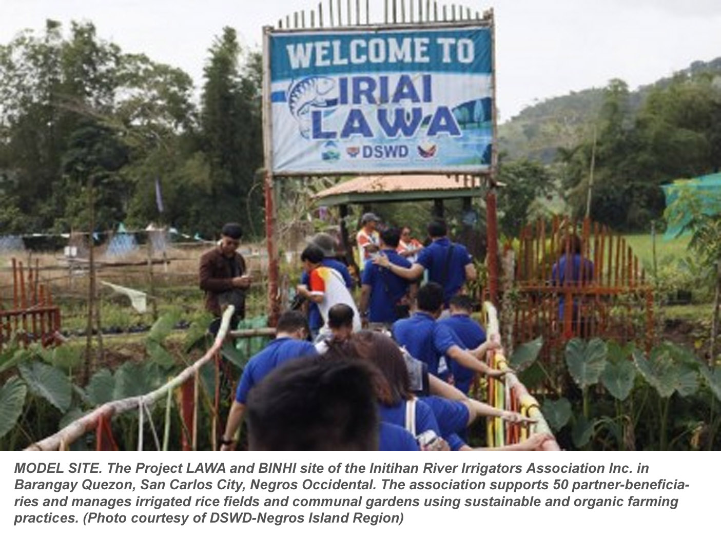 Project LAWA at BINHI boosts food security, livelihoods in North Negros farming village