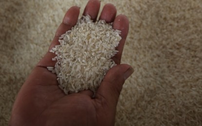 Rice vouchers under 2024 budget to benefit 28M Filipinos