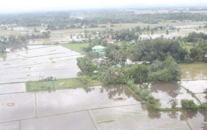 Paeng affects over 89K farmers, fishers: DA