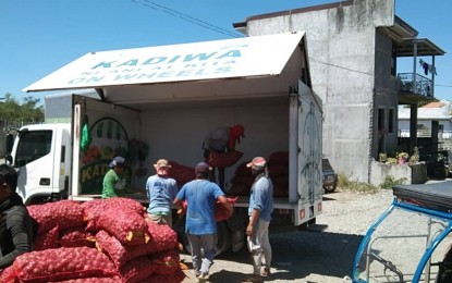 DA: Selling onions direct to buyers to stabilize prices