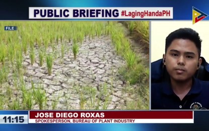 Efficient farming, food waste prevention pushed as El Ni&ntilde;o looms