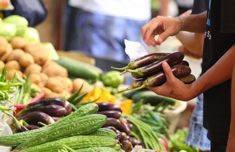 Groups ask SC: Stop GMO rice, eggplant cultivation