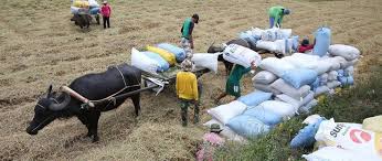 Taking PH agriculture to the next level