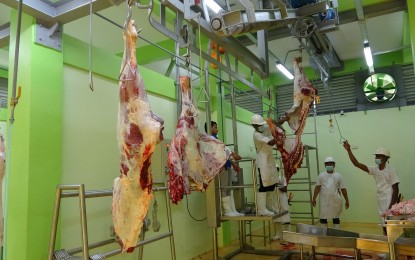 Camarines Sur abattoir to hike farmers&rsquo; income, help fight ASF