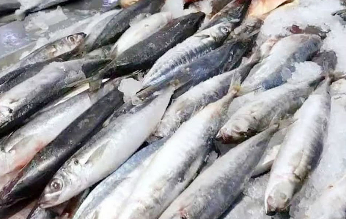 Fisheries Code amendments to focus on safety of imports