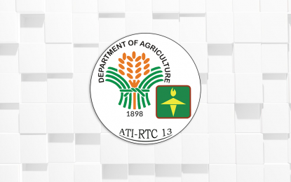 IT agri hubs in Caraga get PHP4.6M boost