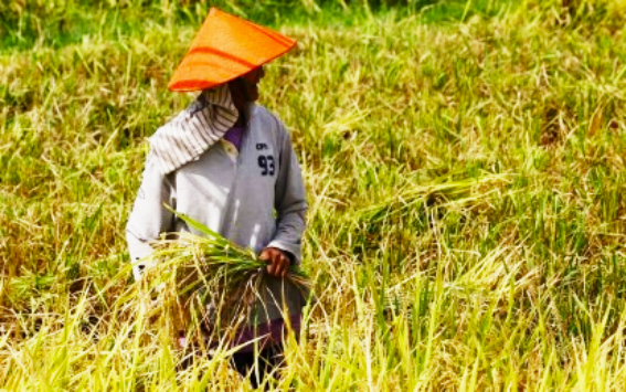 Lawmaker Urges Early Preparations for El Ni&ntilde;o Impact
