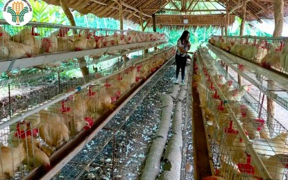 DA spends P87M for E. Visayas&rsquo; anti-poverty projects in 2023