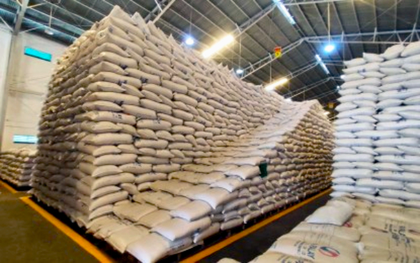 P20 Rice Program Resumes in Ilocos Norte for Vulnerable Groups