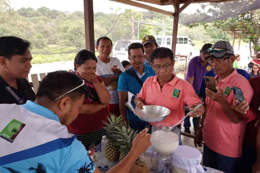 Cotabato farmers trained in VCO, coco water production