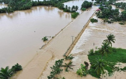 DA readies replacement seeds for flood-hit N. Samar farms