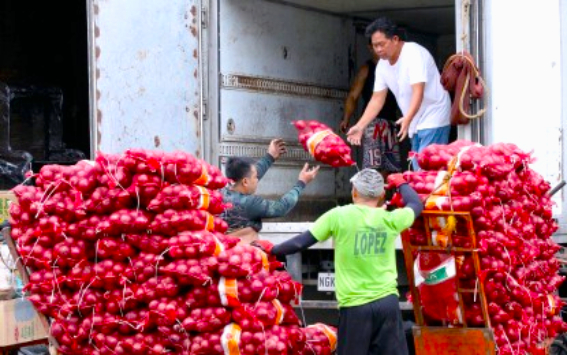 Institutional buyers tap Mindoro onions, eye up to 16 MT monthly supply