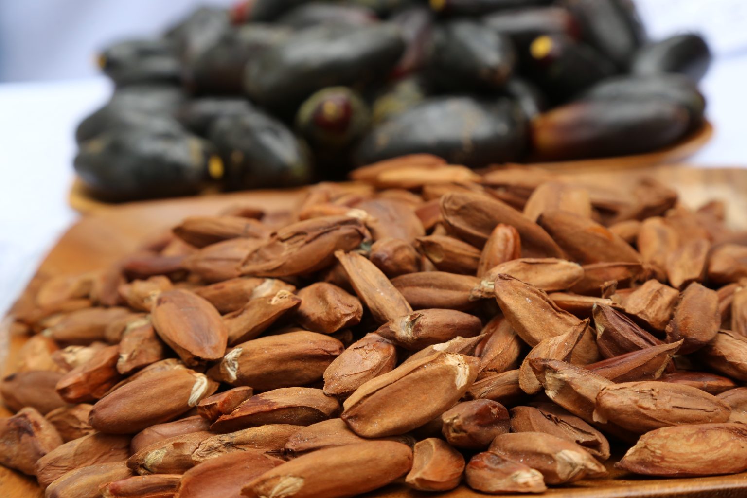 Philippines regains EU market access for pili nuts export