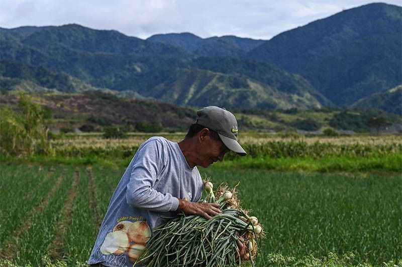 Eye-watering onion prices make Philippine staple a luxury