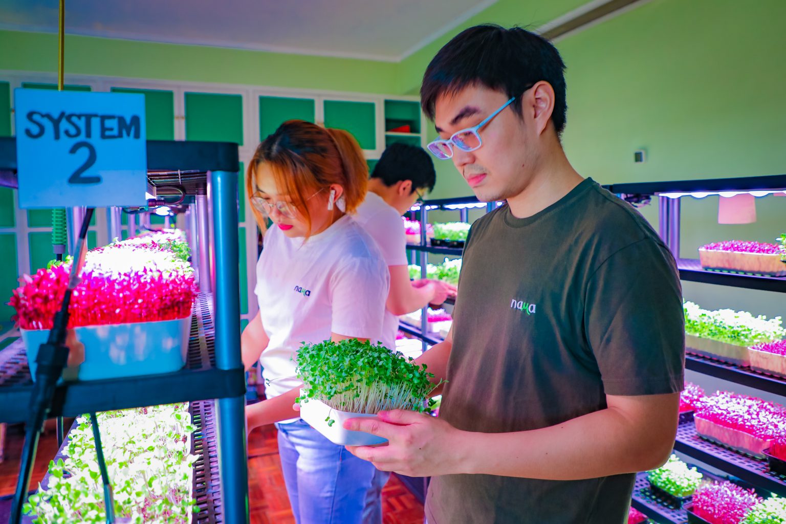 Pinoy youth build agri-enterprises in support of PBBM admin&rsquo;s food security agenda