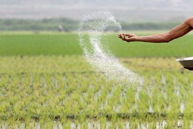 PBBM to DTI: Ease farmers&rsquo; plight with affordable fertilizer