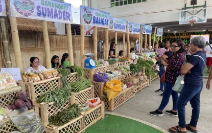 Ilocos Norte city gears up as smart, sustainable city